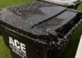 I Thought It Was Rice on My Garbage Can—Then It Started Moving