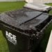 I Thought It Was Rice on My Garbage Can—Then It Started Moving