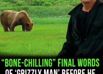 Final words of ‘Grizzly man’ before he was eaten alive