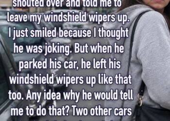 Silent Wipers, Hidden Reason