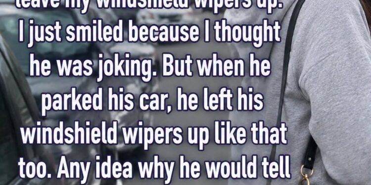 Silent Wipers, Hidden Reason