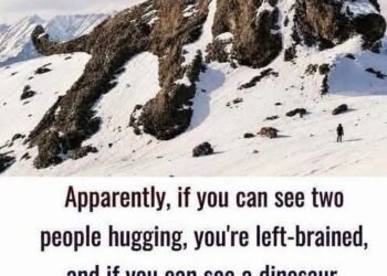 The ultimate visual brain-scan test: left-brained, right-brained ?