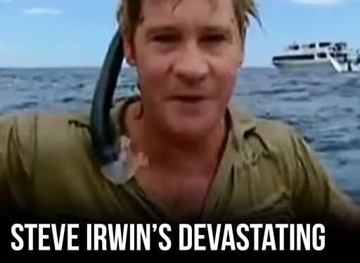 Steve Irwin’s eerie last words before tragic death come to light – and they’re heartbreaking