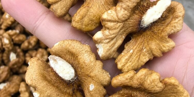 Doctors reveal that eating walnuts causes