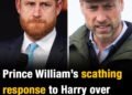 Prince William’s scathing response to Harry over reuniting for Diana’s death anniversary