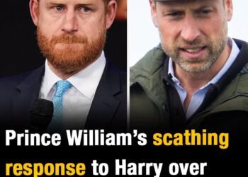 Prince William’s scathing response to Harry over reuniting for Diana’s death anniversary
