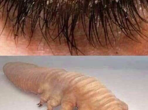 These are the consequences of sleeping with the…