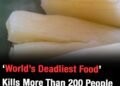 World’s ‘deadliest food’ kills 200 each year