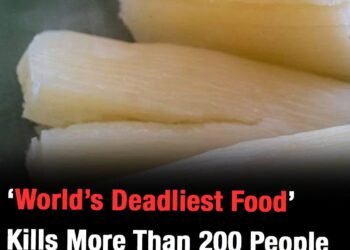 World’s ‘deadliest food’ kills 200 each year