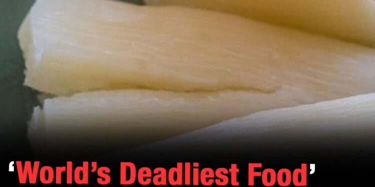 World’s ‘deadliest food’ kills 200 each year